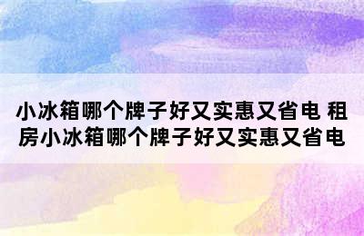 小冰箱哪个牌子好又实惠又省电 租房小冰箱哪个牌子好又实惠又省电